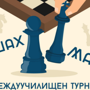 Коледен междуучилищен турнир по шахмат в НПГ